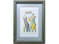 Grafică Nikolai Staikovski 2004