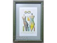 Grafică Nikolai Staikovski 2004