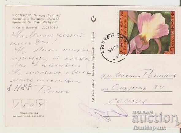 Card Bulgaria Kyustendil Velbazhd Square** with price 1.00 BGN | € 0.51 Card Bulgaria Kyustendil Velbazhd Square** with price 1.00 BGN | € 0.51