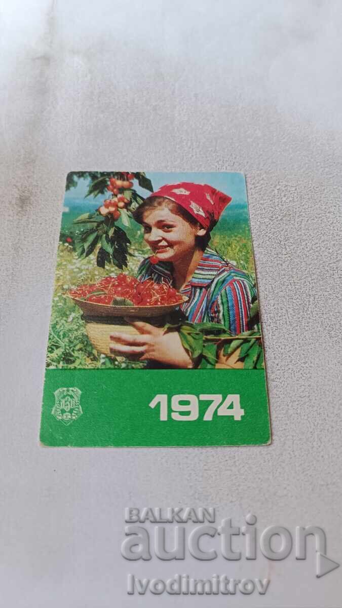 Calendar State Insurance Institute 1974