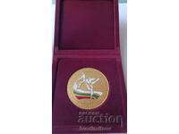 Pl-et Campionatele Europene de Karate pentru Seniori, Sofia 2001