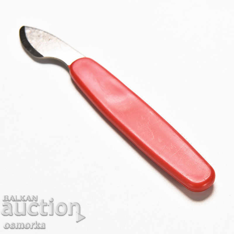 Delivery of Clock instrument for opening of opener clocks