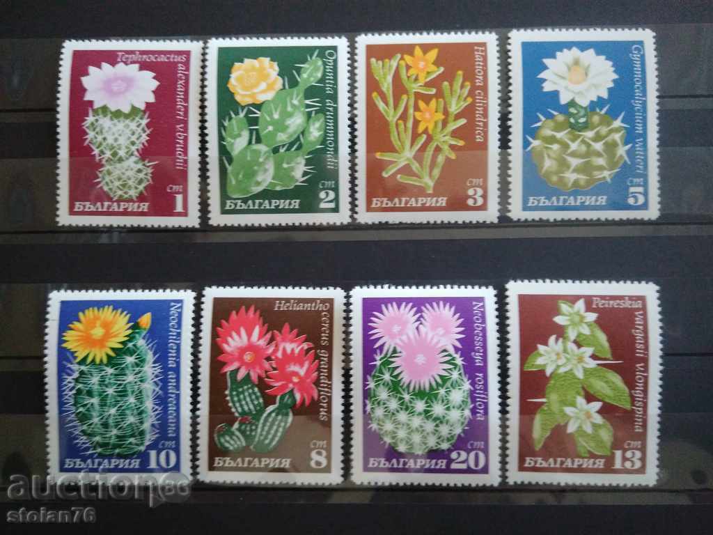 -50% Bulgaria "Cactus" №2057 / 64 from BC 1970 -50% Bulgaria "Cactus" №2057 / 64 from BC 1970