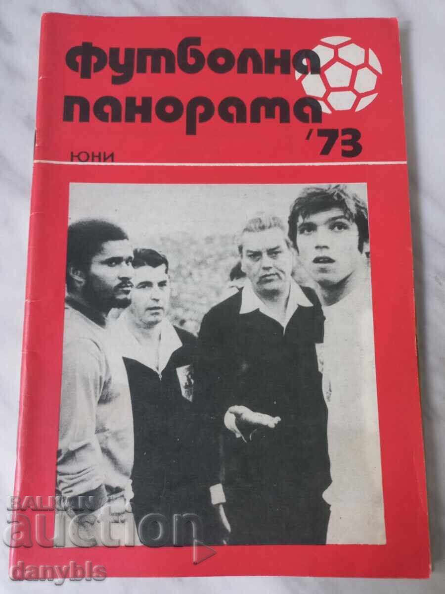 Panoramă Fotbal - iunie 73