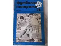 Panoramă fotbalistică - august 73 g