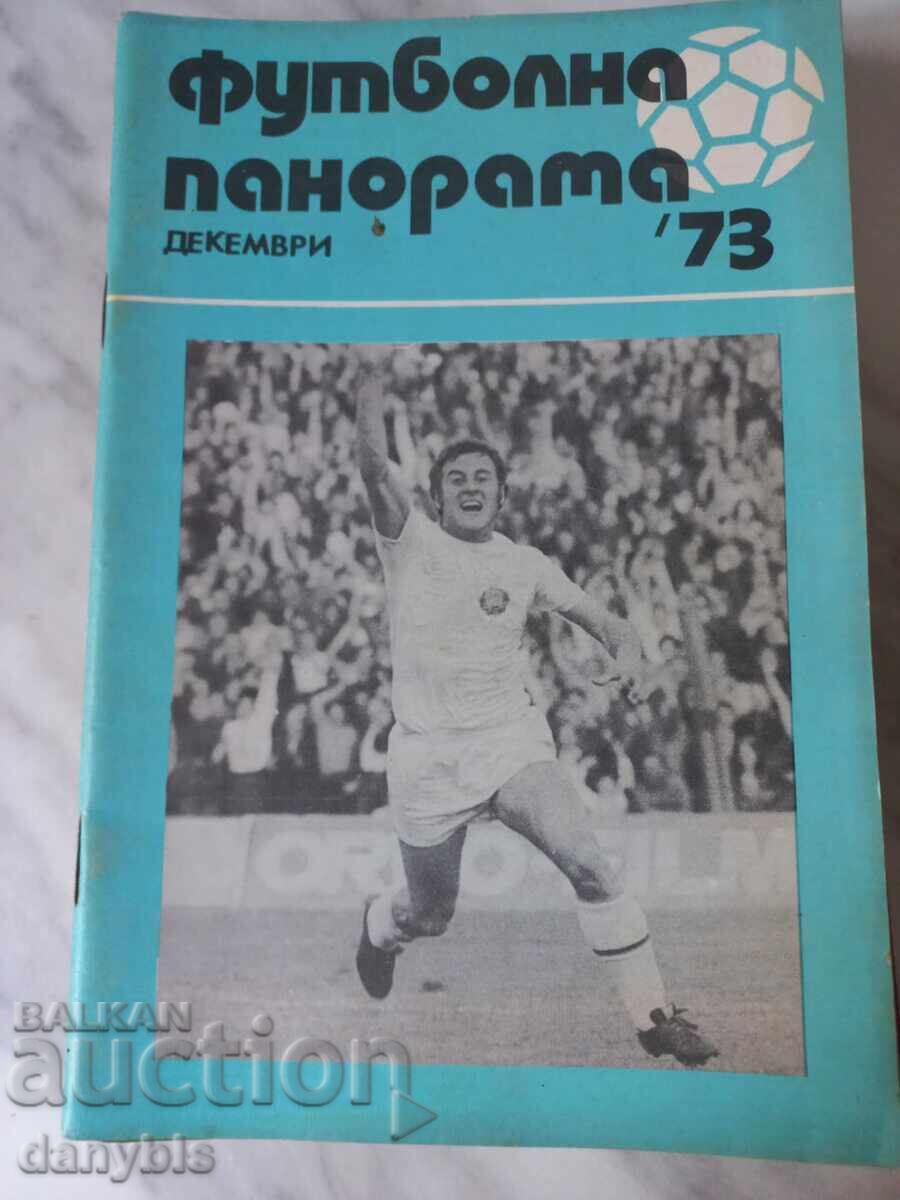 Panoramă fotbalistică - decembrie '73