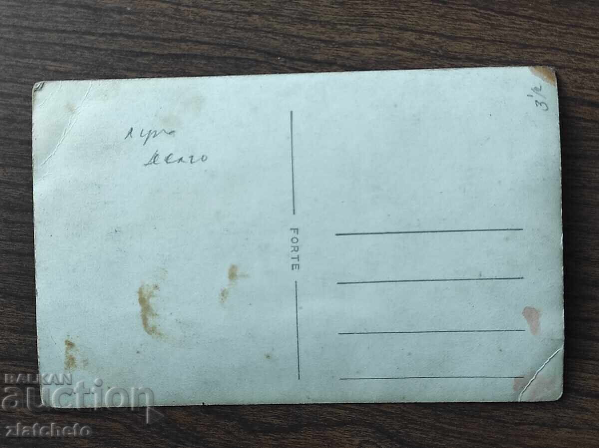 Licitație Fotografie veche Regatul Bulgariei - Licitație Fotografie veche Regatul Bulgariei -