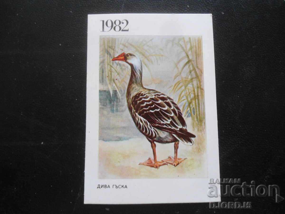 Calendar vechi, 1982