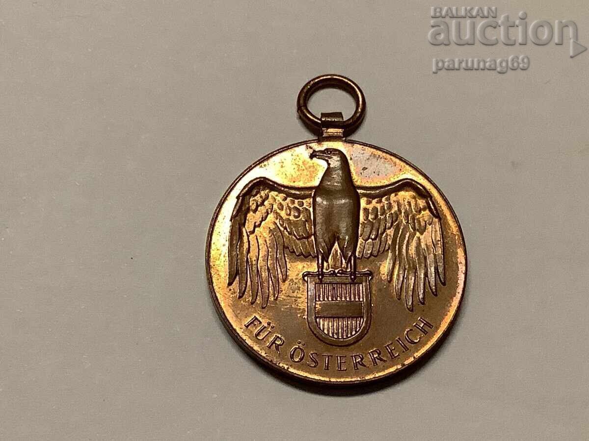 Austria Medalie comemorativă WWI 1914 - 1918