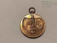 Austria Medalie comemorativă WWI 1914 - 1918