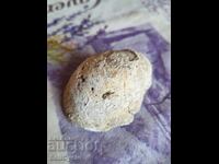 ✅FOSIL - STRIDIE❗