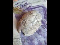 ✅FOSIL - STRIDIE❗