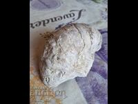 ✅FOSIL - STRIDIE❗