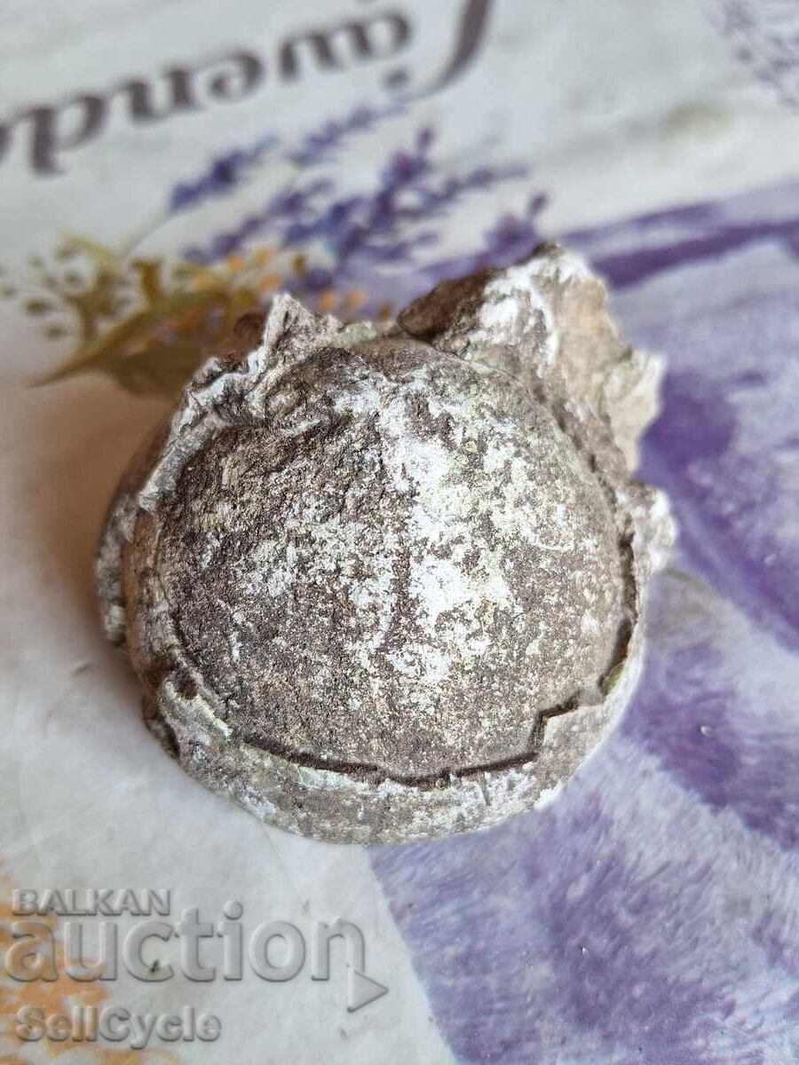 ✅ FOSSIL - SEA URCHIN ❗