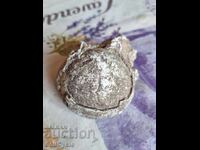 ✅FOSIL - ARICI DE MARE ❗