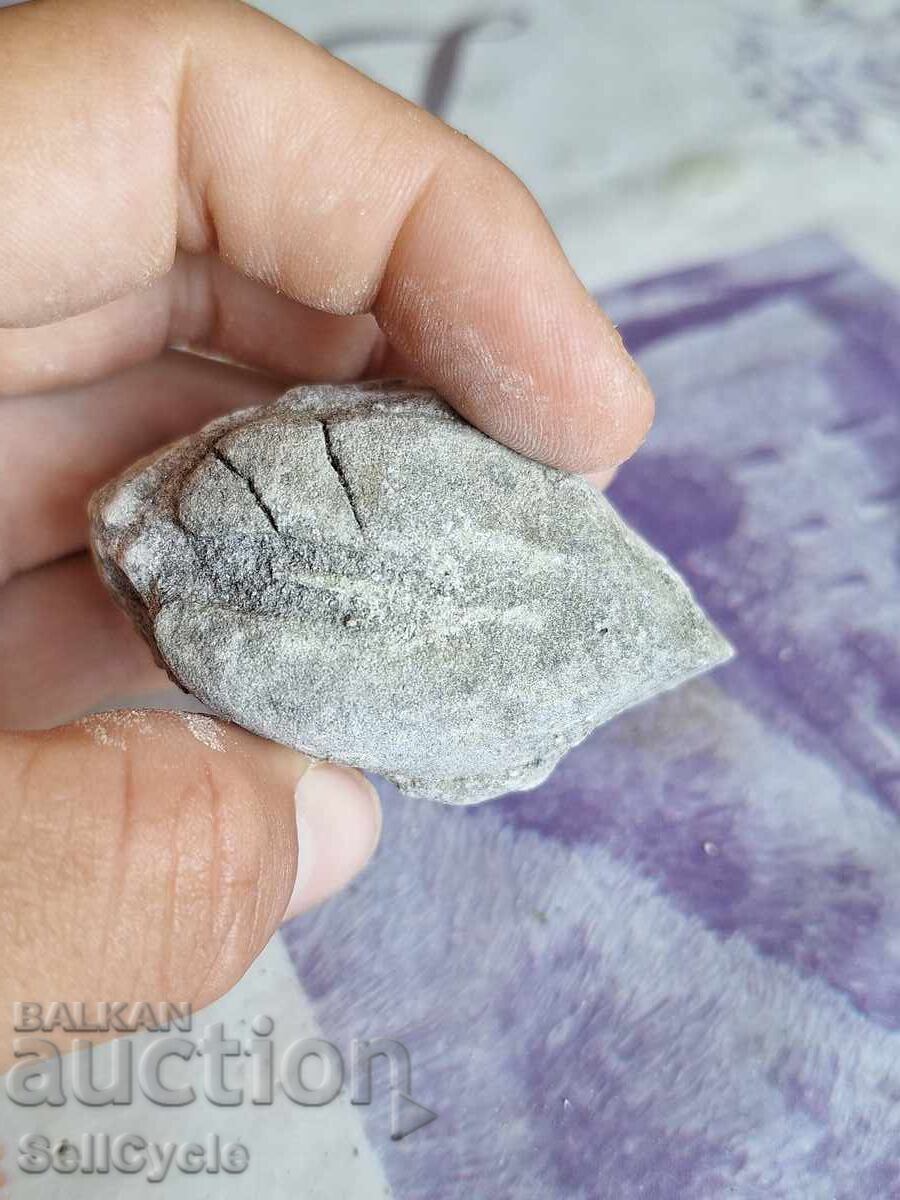 ✅ΦΟΣΙΛ - ΜΙΔΑ ❗ με τιμή 1.00 BGN | € 0.51