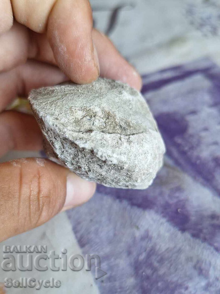 Δημοπρασία ✅ΦΟΣΙΛ - ΜΙΔΑ ❗