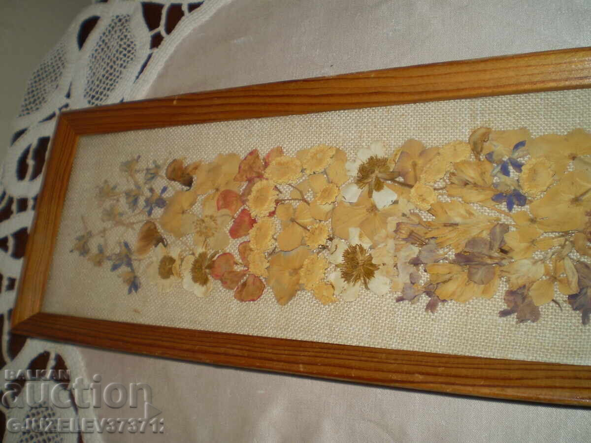 Auction  Herbarium picture WITH DRY PRESSED FLOWERS, handmade