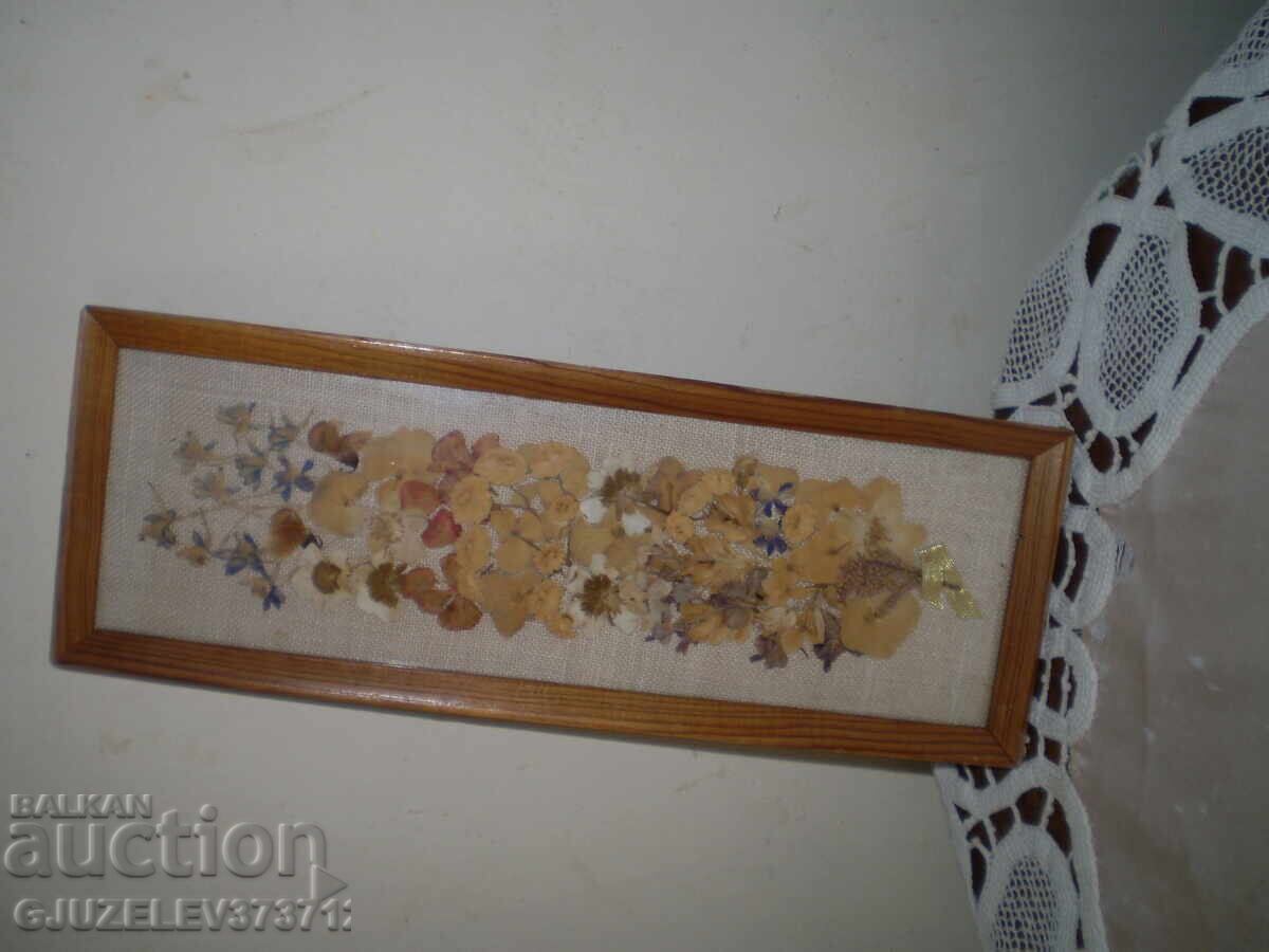 Herbarium picture WITH DRY PRESSED FLOWERS, handmade