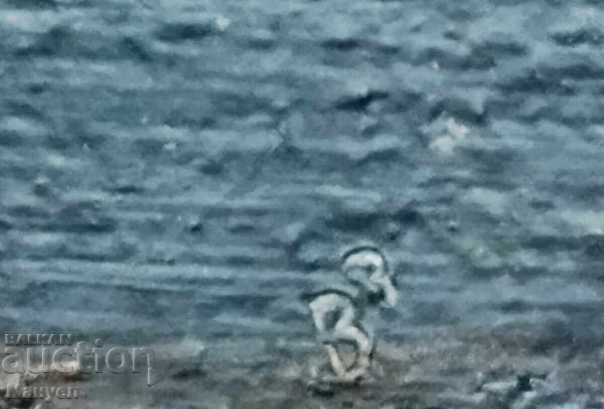 Licitație Frumoasă vedere marină a lui Vyshansky Licitație Frumoasă vedere marină a lui Vyshansky