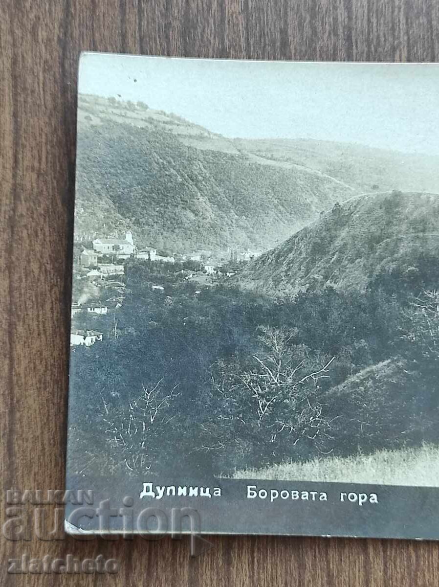 Fotografie veche Regatul Bulgariei - Dupnitsa cu preț 30.00 BGN | € 15.34 Fotografie veche Regatul Bulgariei - Dupnitsa cu preț 30.00 BGN | € 15.34