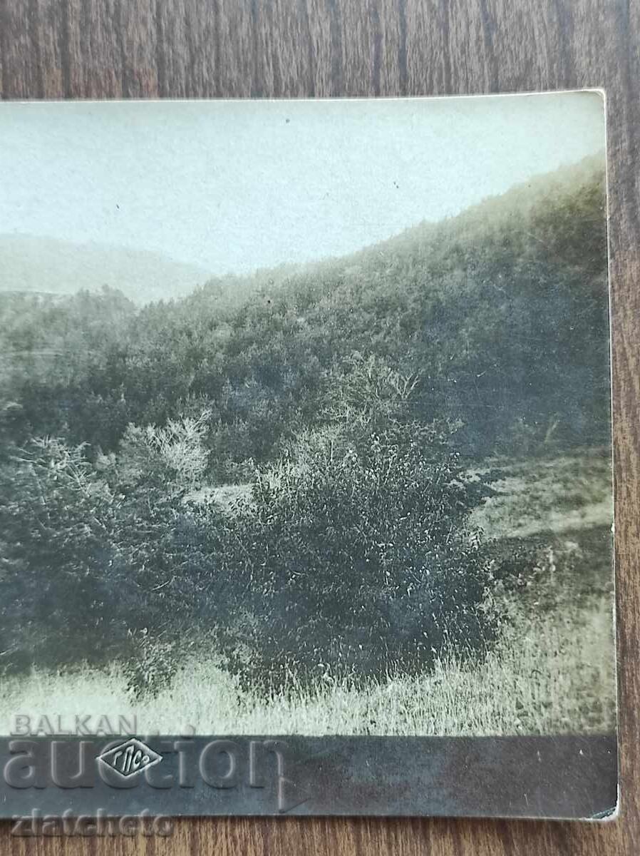 Licitație Fotografie veche Regatul Bulgariei - Dupnitsa Licitație Fotografie veche Regatul Bulgariei - Dupnitsa