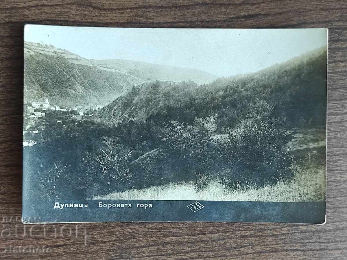 Fotografie veche Regatul Bulgariei - Dupnitsa Fotografie veche Regatul Bulgariei - Dupnitsa