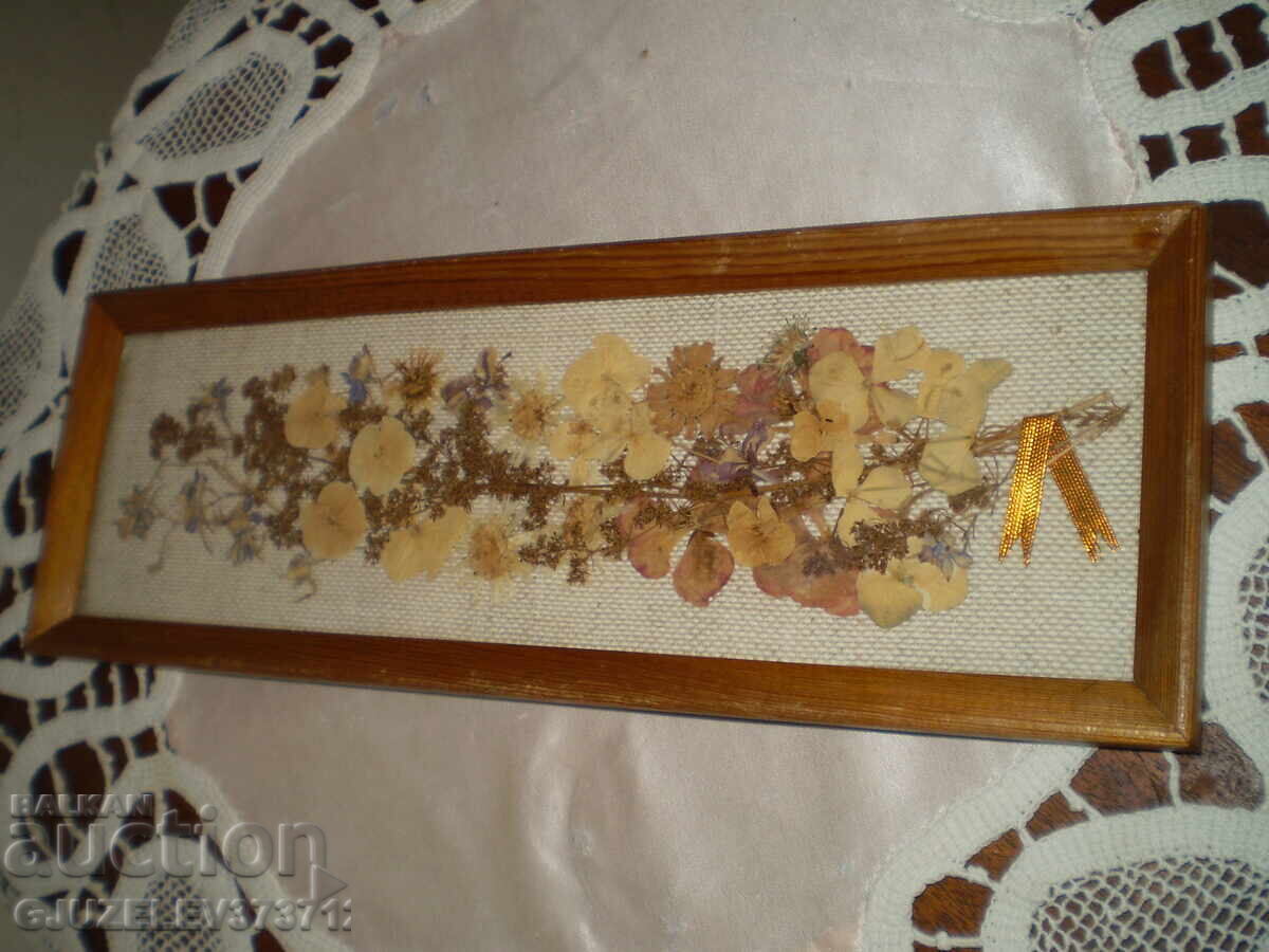 Licitație Tablou Herbariu cu flori presate uscate lucrate manual Licitație Tablou Herbariu cu flori presate uscate lucrate manual