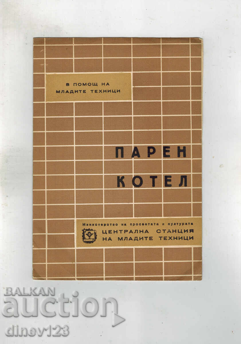 Helping Young Technicians - STEAM BOILER