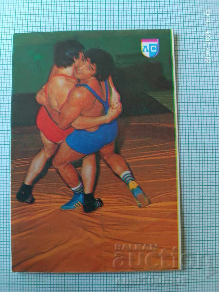 Levski Spartak Borba 1981 Calendar