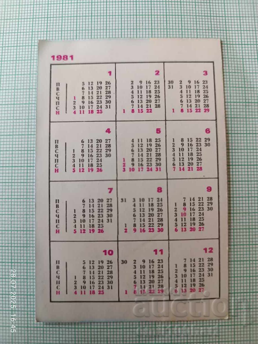 Ημερολόγιο Λέφσκι Σπάρτακ Στίβος Μαρία Βεργκόβα 1981 με τιμή 2.00 BGN | € 1.02