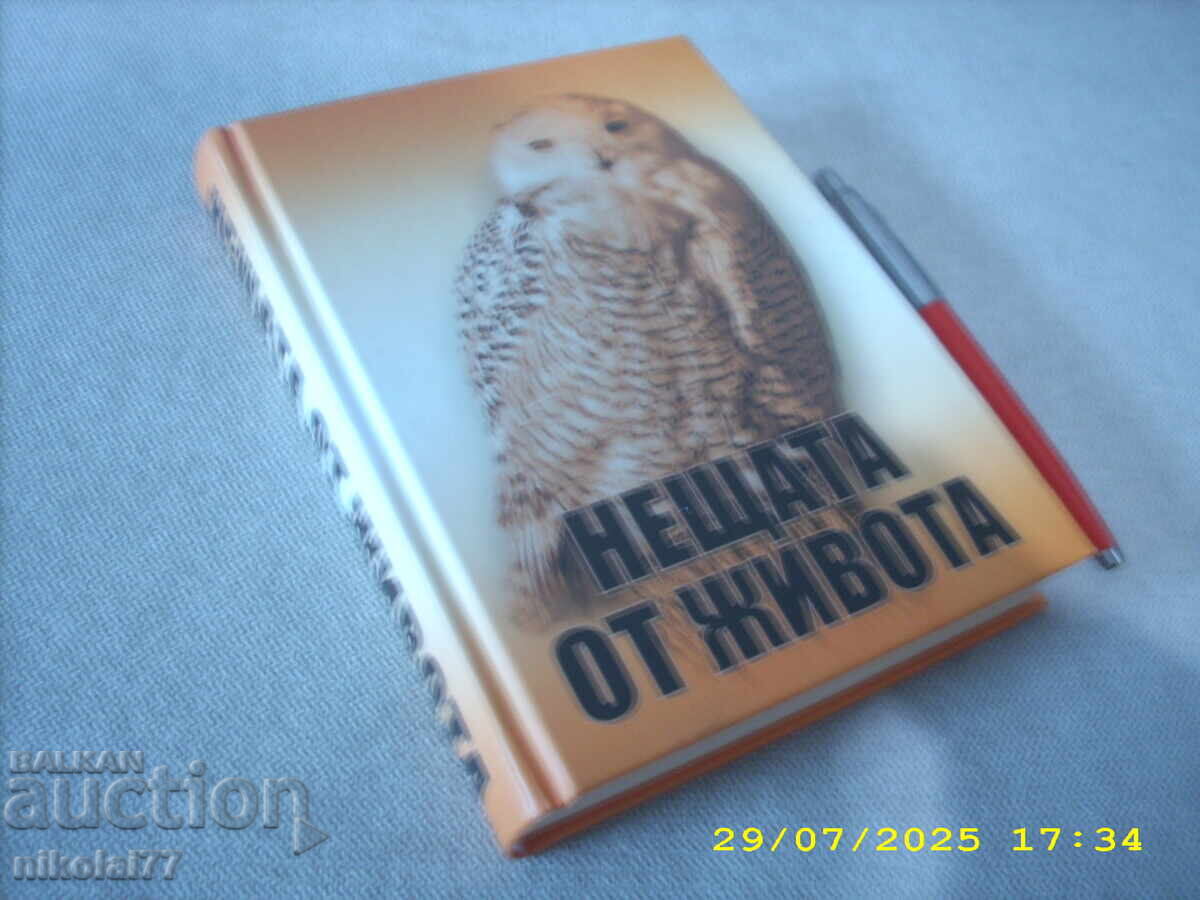 Τα πράγματα της ζωής - 2005 Βαλεντίν Βέλτσεφ ΚΑΙΝΟΥΡΓΙΟ! με τιμή 15.00 BGN | € 7.67 Τα πράγματα της ζωής - 2005 Βαλεντίν Βέλτσεφ ΚΑΙΝΟΥΡΓΙΟ! με τιμή 15.00 BGN | € 7.67