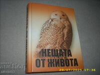 Τα πράγματα της ζωής - 2005 Βαλεντίν Βέλτσεφ ΚΑΙΝΟΥΡΓΙΟ!