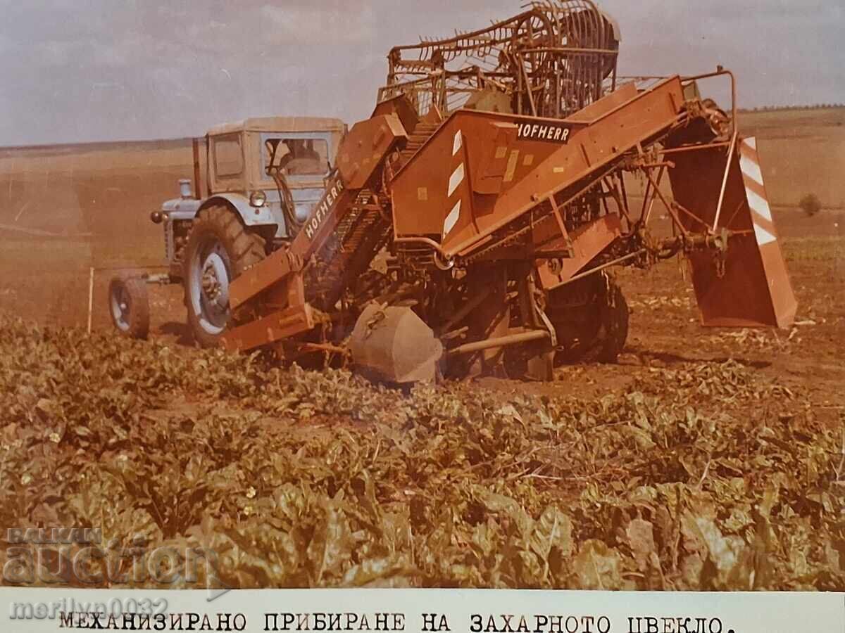 Auction  Photo album with the United TKZS "First of May" Radul Minchev