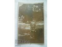 Παλιά φωτογραφία - μικρό παιδί, κορίτσι