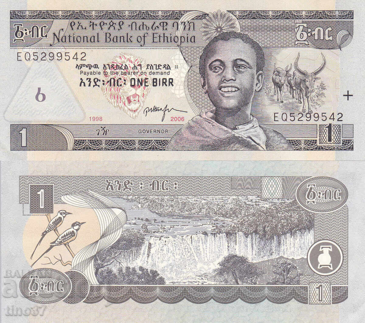 tino37- ΑΙΘΙΟΠΙΑ - 1 BIRR - 2006 - XF+