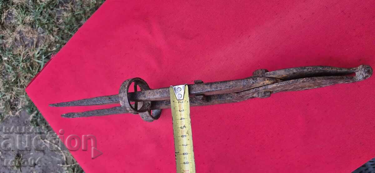 Auction TICKS - SCISSORS - BRUTAL Auction TICKS - SCISSORS - BRUTAL