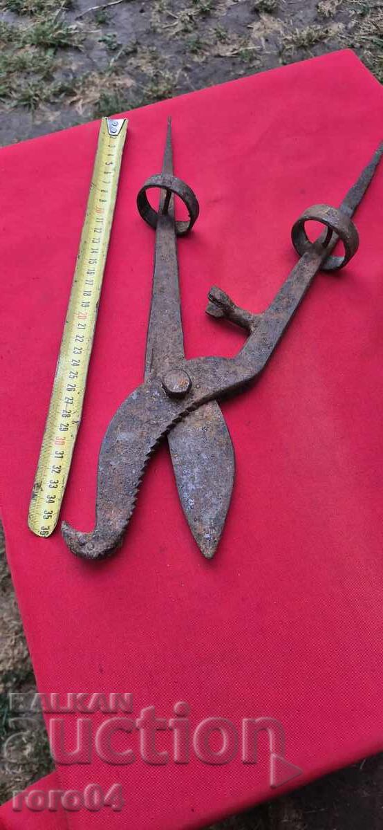 TICKS - SCISSORS - BRUTAL TICKS - SCISSORS - BRUTAL