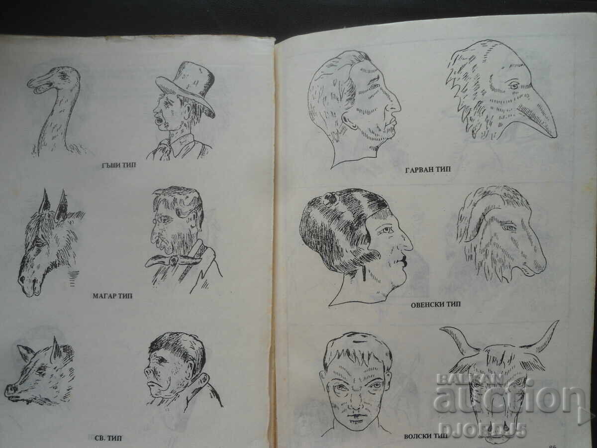 ΧΕΙΡΟΜΑΝΤΕΙΑ - 6 ΧΕΙΡΟΜΑΝΤΕΙΑ - 6