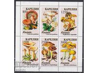 Timbre curate într-o foaie mică Flora Ciuperci din Karelia Rusia