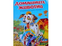 Κατοικίδια Ζώα