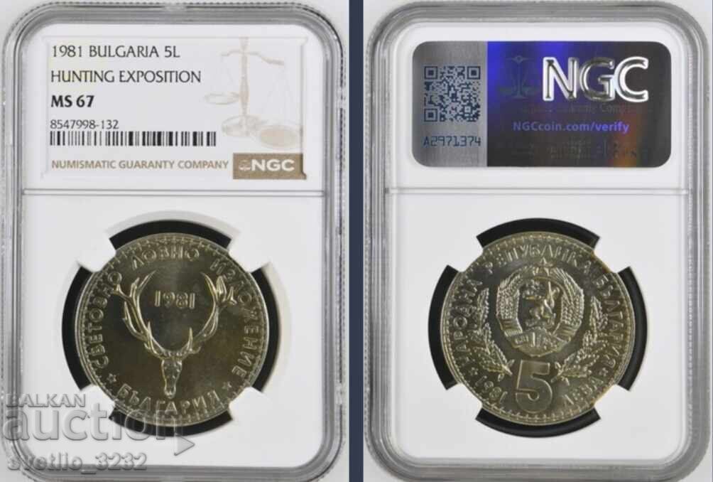 5 Leva 1981 Hunting Exhibition MS 67 NGC