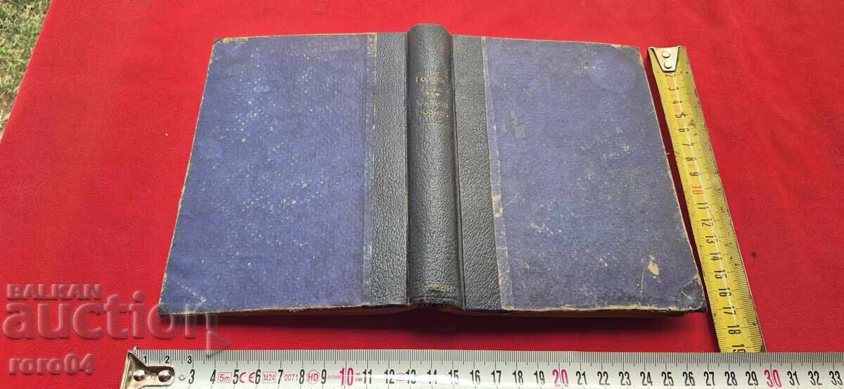 ΓΟΡΣΚΙ ΔΕΤΣΑ / ΣΤΟ ΝΗΣΙ ΜΠΟΡΝΕΟ - ΜΑΪΝ ΡΙΝΤ - 7