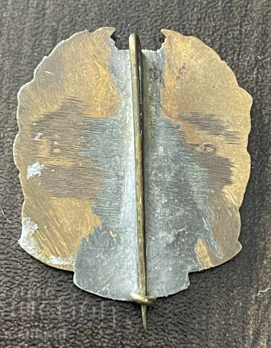 6173 Regatul Bulgariei, Regiunea Dunăreană, Iunie 1925, Vidin cu preț 300.00 BGN | € 153.39