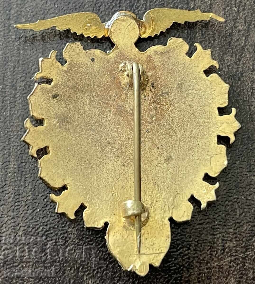 6177 Kingdom of Bulgaria Badge Yunaški Sokolsi Sabor 1910. Enamel with price 450.00 BGN | € 230.08