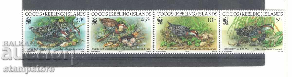 Кокосови о-ви - Птици Кокосови о-ви - Птици