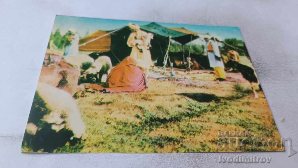 Postcard Cabul Nekzad Market