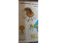 Старо учебно табло пчела (ципокрили насекоми)Соц100м/68см