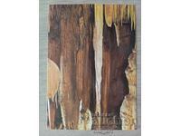 Cartolină poștală - Peștera Ledenița