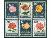 3414 Bulgaria 1985 Bulgarian roses. **